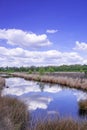 Moor landscape Royalty Free Stock Photo