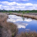 Moor landscape Royalty Free Stock Photo