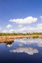 Moor landscape Royalty Free Stock Photo