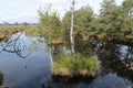 Moor landscape in the marshland Pietzmoor, Germany.