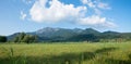 Moor landscape near schlehdorf, with view to herzogstand mountain Royalty Free Stock Photo