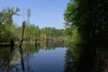 Moor pond in Kaltenhofer Moor - Germany Royalty Free Stock Photo