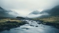 Beautiful Moor Photos With Serene And Calming Vibe On Unsplash