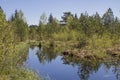 Moor waters in the Spatenbraeufilze