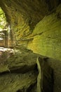 Moore Cove Falls, Pisgah NF