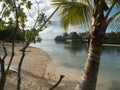 Moorea Beach Huts