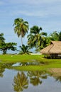 Moorea, french polynesia