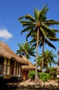 Moorea, french polynesia