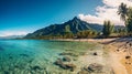 Moorea island beach panorama French Polynesia. Generative AI Royalty Free Stock Photo