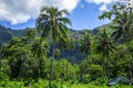 Moorea island jungle and mountains landscape view Royalty Free Stock Photo