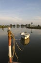 Moored boat in the river Merwede