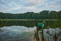 A moored boat on the shore of a lake