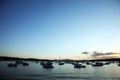 Moored boats