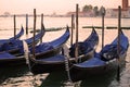 The moored gondolas in San Marco bay in the early cloudy morning. Venice, Italy Royalty Free Stock Photo