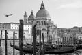 Gondolas and Santa Maria della Salute church in Venice Royalty Free Stock Photo