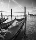 Moored gondolas in Venice, Italy