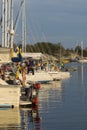 Moored leisureboats in nature harbour