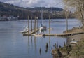 Moored sailboats on the Willamette river Oregon state