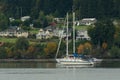 Moored yacht in Poulsbo marina -2