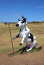 Moorine Marauder - Funny Pirate Cow Royalty Free Stock Photo