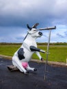 Moorine Marauder Funny Pirate Cow Cape Leeuwin Lighthouse