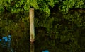 A mooring pole on a glass calm waterway