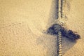 Mooring rope with knots on fine sand in morning (vintage style)