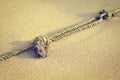 Mooring rope with knots on fine sand in morning (vintage style)