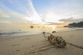 Mooring rope with knots on fine sand in morning which has view of beautiful sea and sky in morning as background