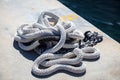 Mooring rope white color on luxury yachts marina pier Royalty Free Stock Photo