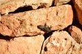 Moorish Gecko crawling on the rocks under the sunlight at daytime in Malta Royalty Free Stock Photo