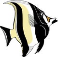 Moorish Idol Illustration