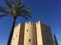 A moorish tower and palm tree Royalty Free Stock Photo