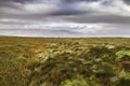 Moorland and bog in Snowdonia National Park in Wales Royalty Free Stock Photo