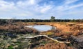 Moorland at Heidestein in Zeist in the Netherlands Royalty Free Stock Photo