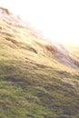 Moorland hillside at dusk