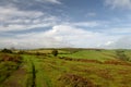 Moorland on Selworthy Beacon, Exmoor, North Devon