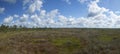 Moorland in the summer.