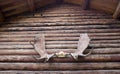 Moose Antlers Mounted Residential Home Alaska