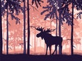 Moose with antlers posing, forest background, silhouettes of trees. Magical misty landscape. Royalty Free Stock Photo