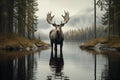 Moose in the autumn forest. The lake is reflected in the water