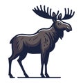 Moose buck elk full body vector illustration, zoology illustration, wild animal moose design template isolated on white background Royalty Free Stock Photo
