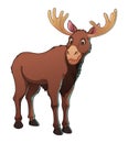 Moose Cartoon Animal Illustration Color