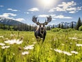 Ai Generated illustration Wildlife Concept of Moose cow on meadow Royalty Free Stock Photo