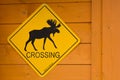 Moose Crossing