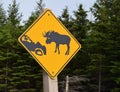 Moose crossing highway warning sign