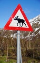 Moose crossing road sign Royalty Free Stock Photo