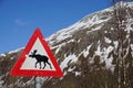 Moose crossing road sign