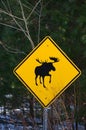 Moose crossing sign