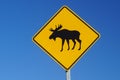 Moose crossing road sign Royalty Free Stock Photo